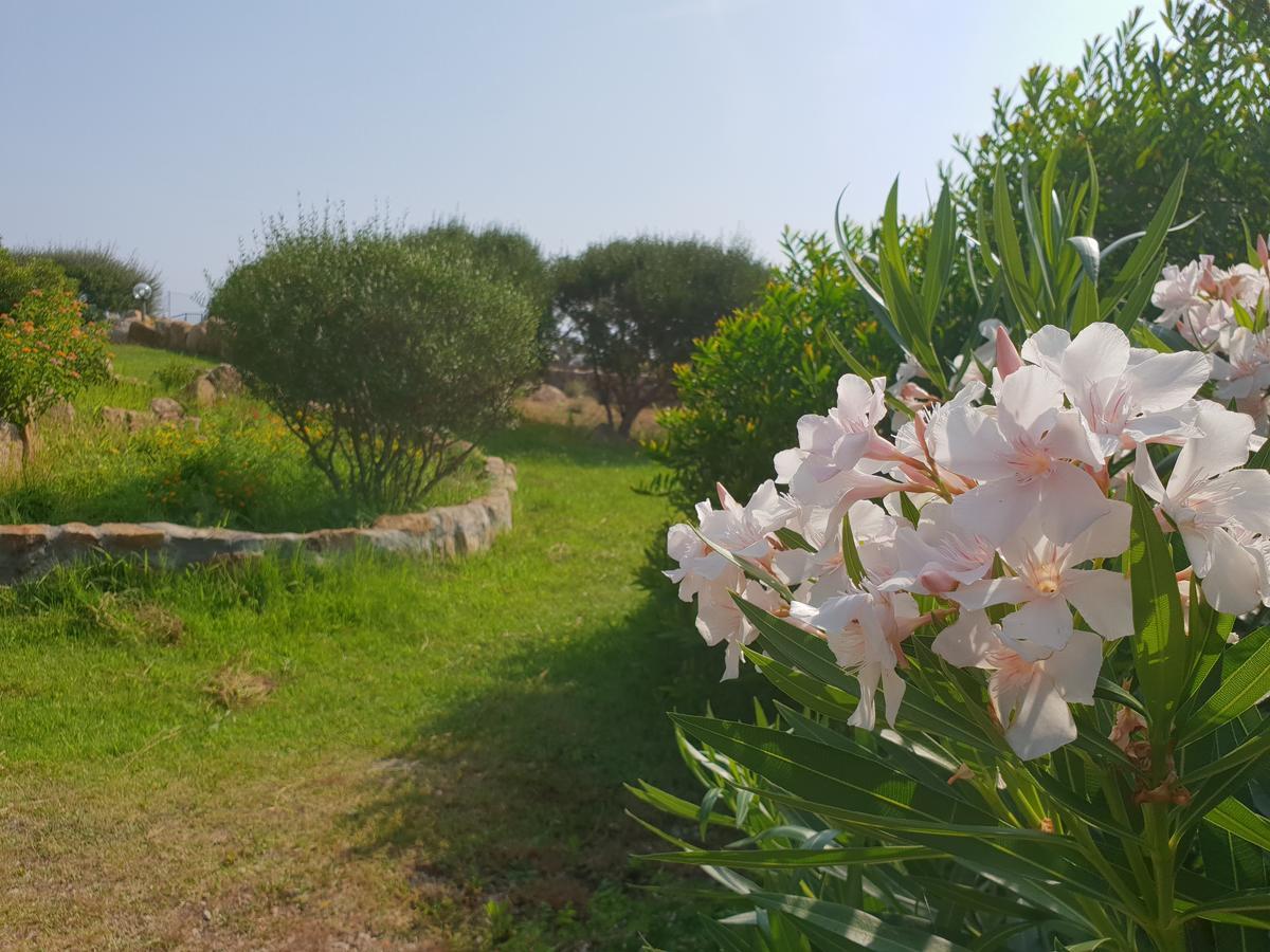 Villa Sprafundu La Maddalena  Exterior photo
